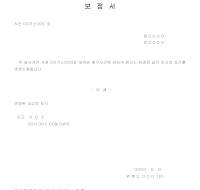 보정서 보정서